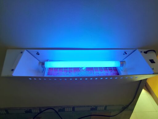 Perangkap Lalat Bandung