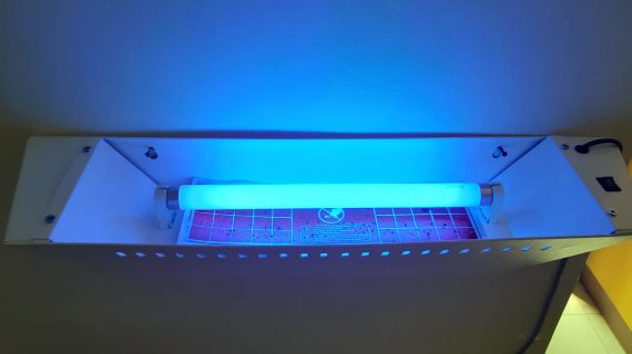 Perangkap Lalat Bandung