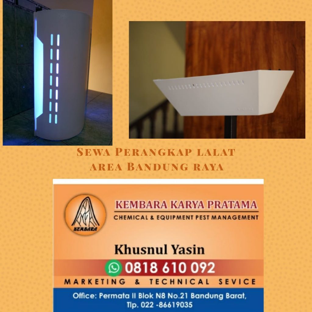 Sewa Perangkap Lalat