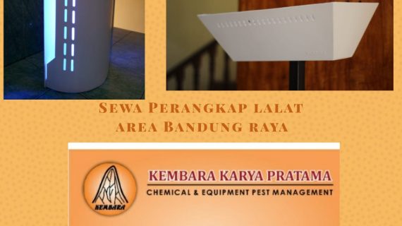 Sewa Perangkap Lalat